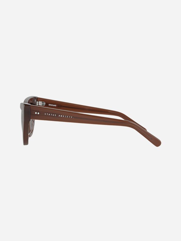 status-anxiety-sunglasses-desolate-brown-side