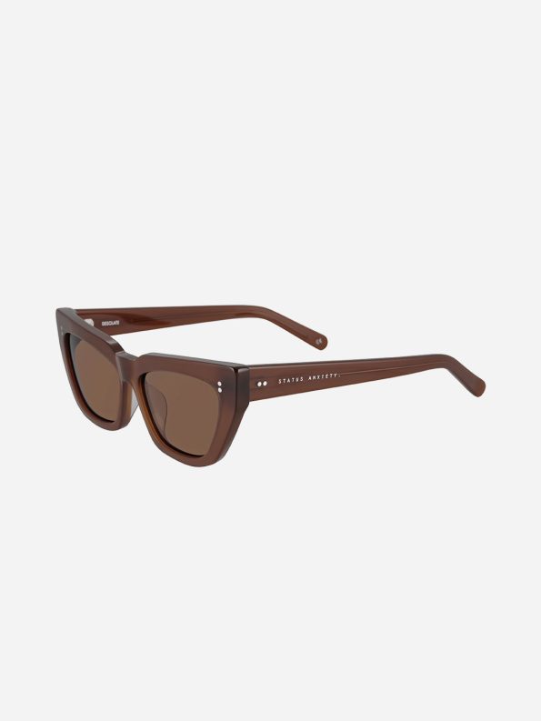 status-anxiety-sunglasses-desolate-brown-side-front